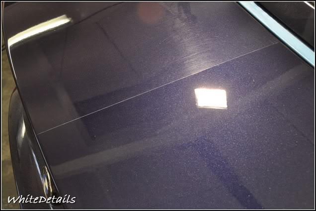 DSC_0125.jpg DSC_0125.jpg