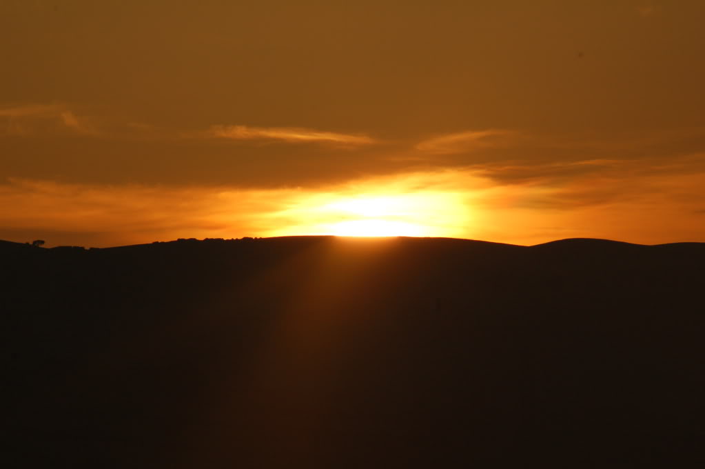 DSC_0126.jpg