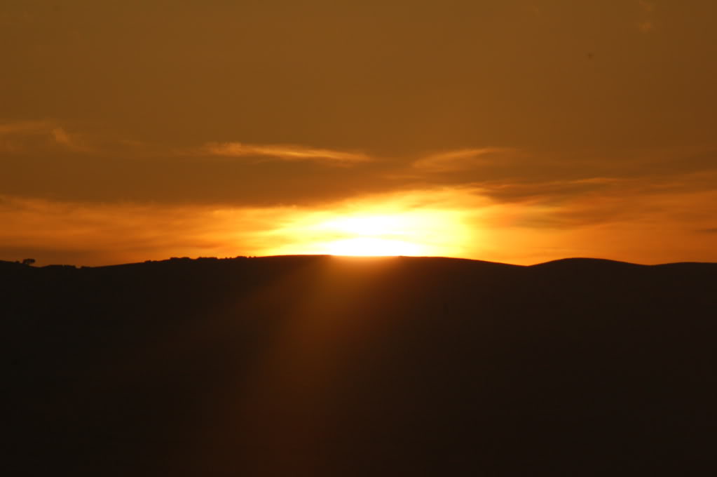 DSC_0127.jpg