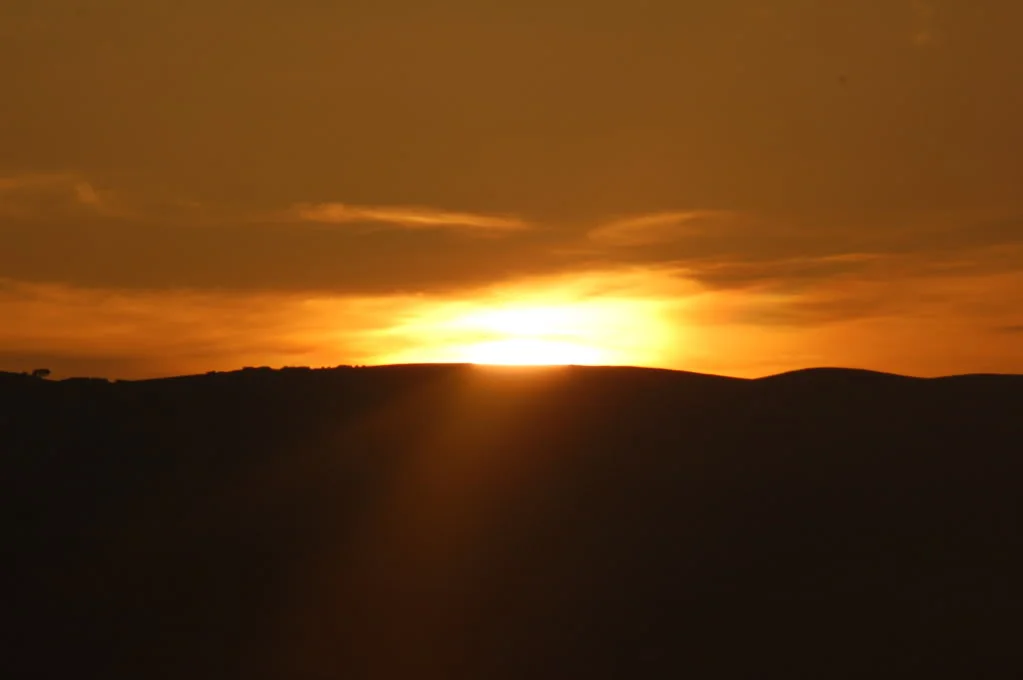 DSC_0127.webp