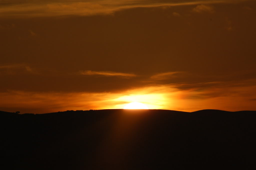 DSC_0128.jpg
