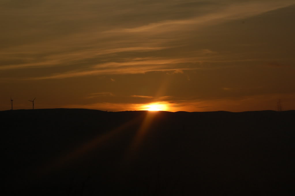 DSC_0129.jpg