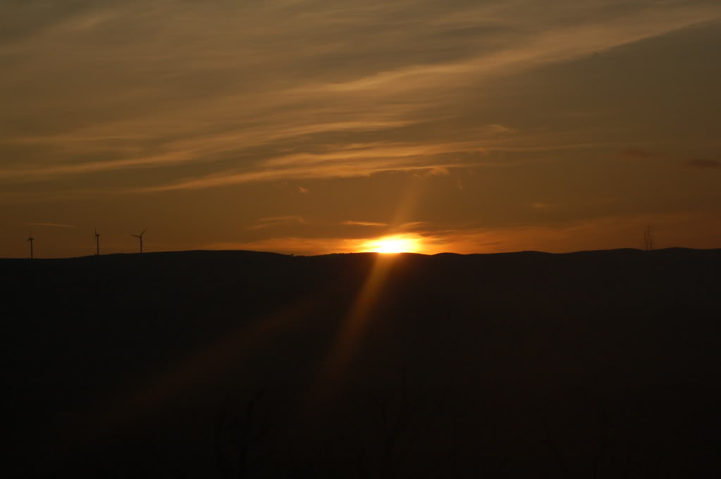 DSC_0130.jpg