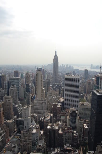 DSC_0131.jpg DSC_0131.jpg