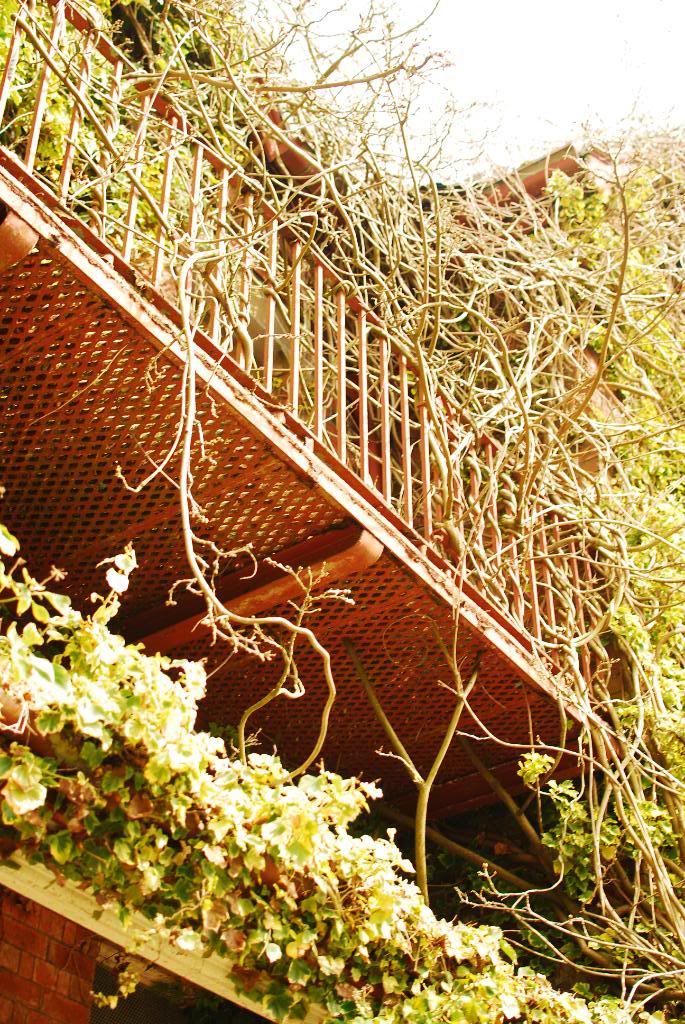 DSC_0131.jpg DSC_0131.jpg