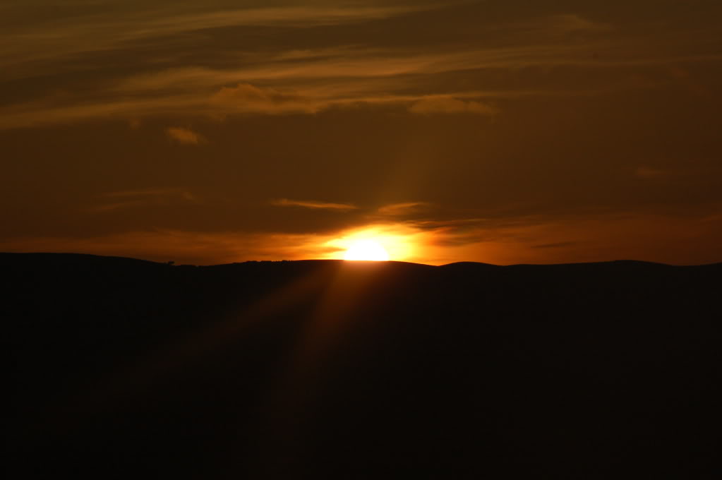 DSC_0133.jpg