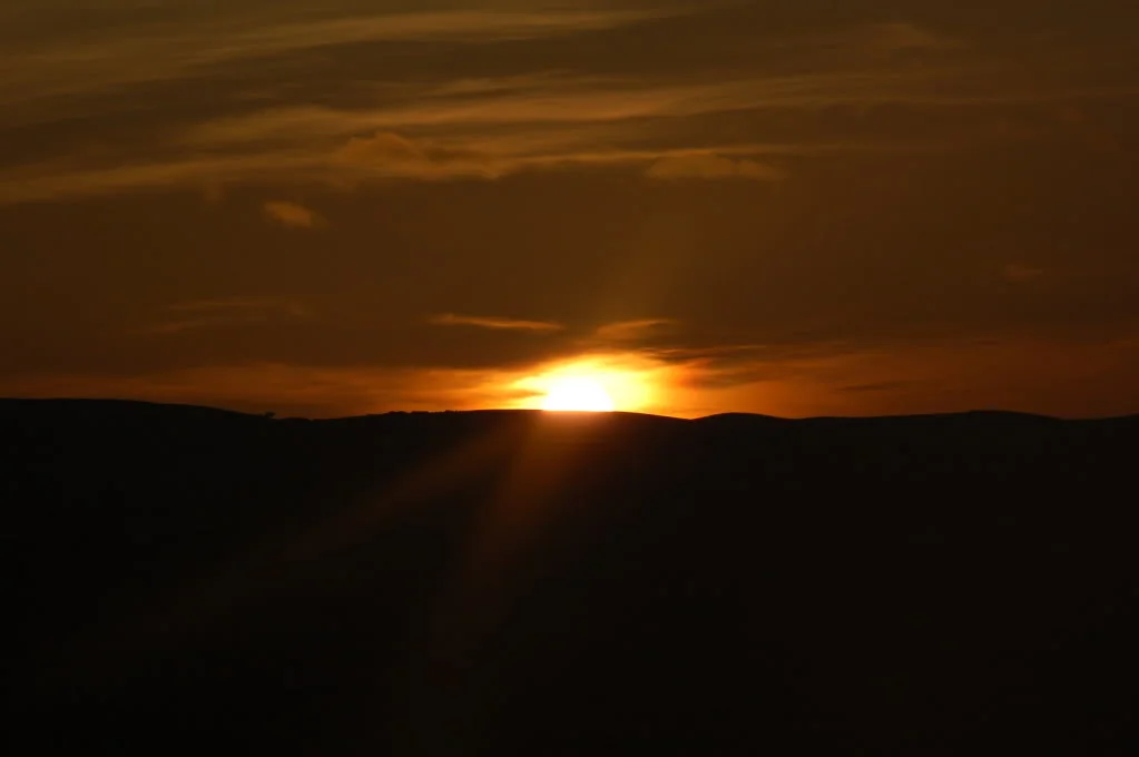 DSC_0133.webp