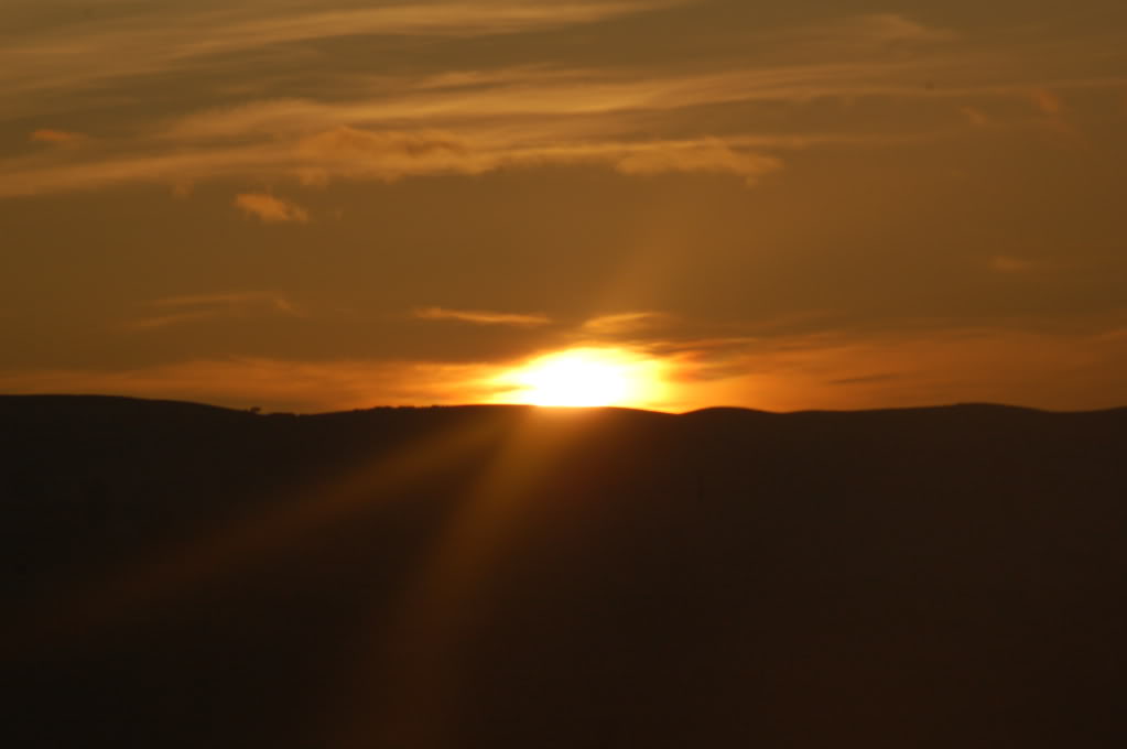DSC_0134.jpg