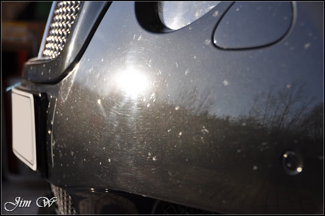 DSC_0135-1.jpg DSC_0135-1.jpg