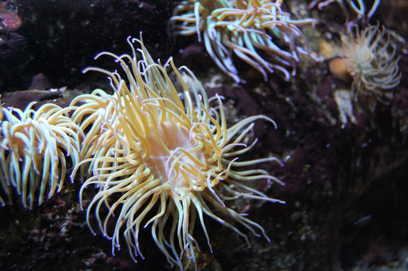 DSC_0135-Edit.jpg DSC_0135-Edit.jpg