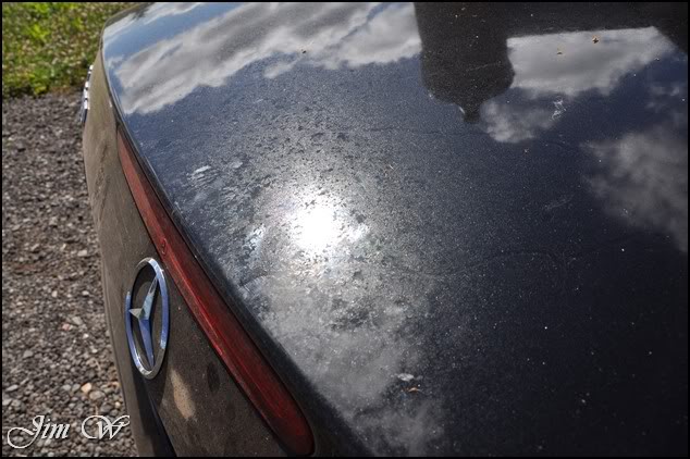 DSC_0135.jpg DSC_0135.jpg