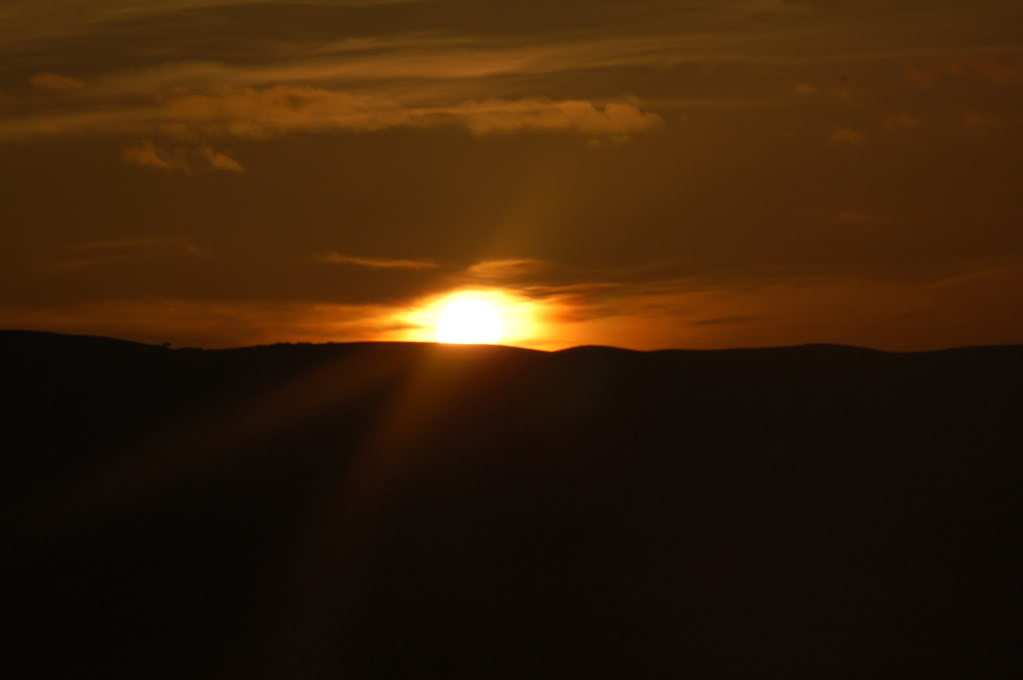 DSC_0135.jpg