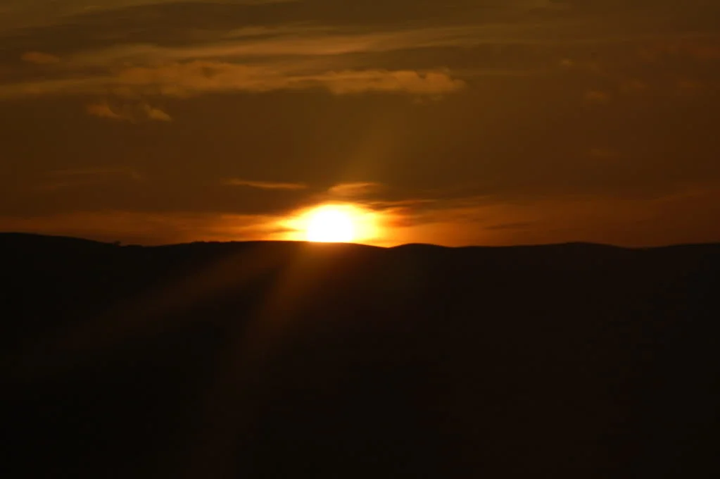 DSC_0135.webp
