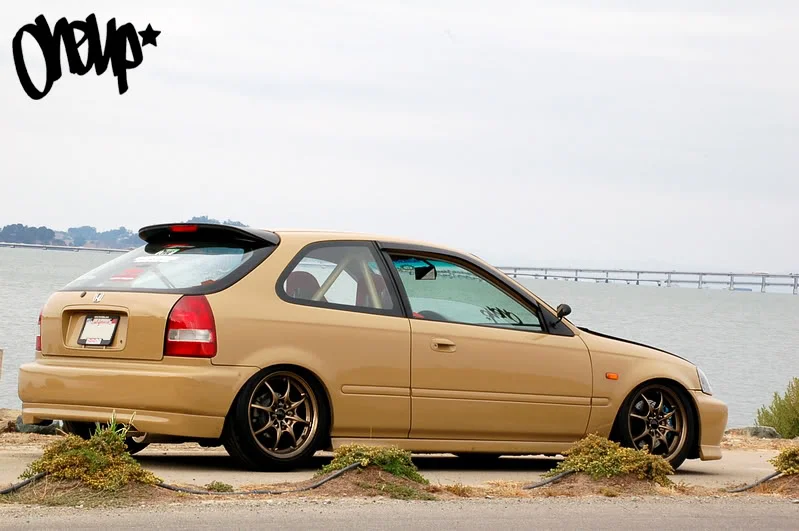 DSC_0135copy.webp