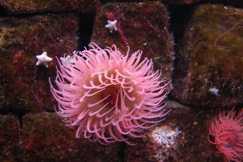 DSC_0136-Edit.jpg DSC_0136-Edit.jpg