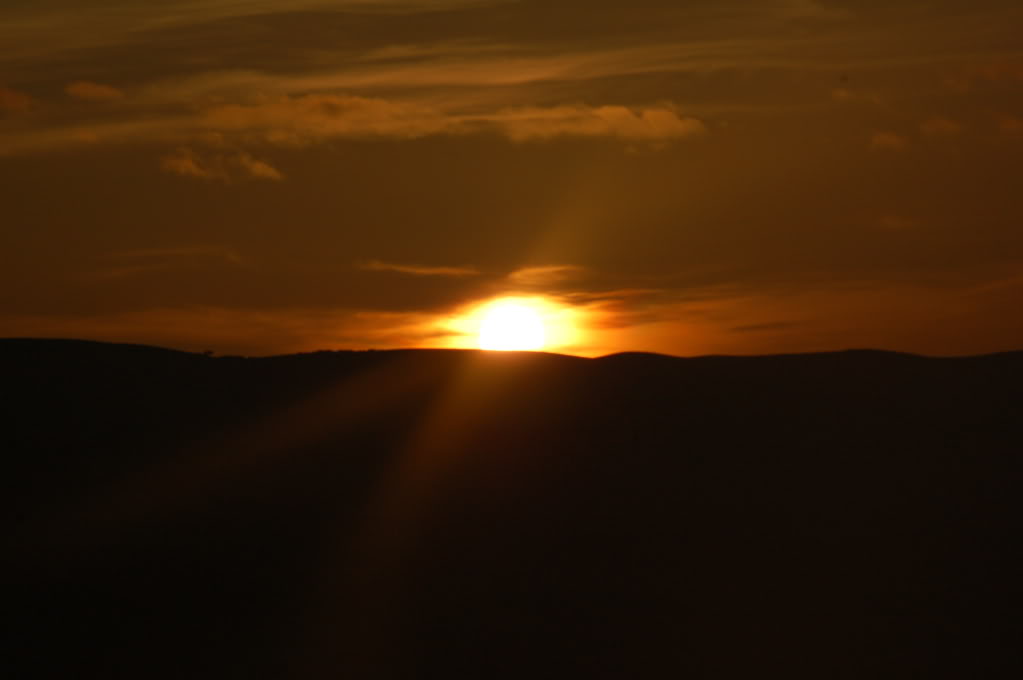 DSC_0136.jpg