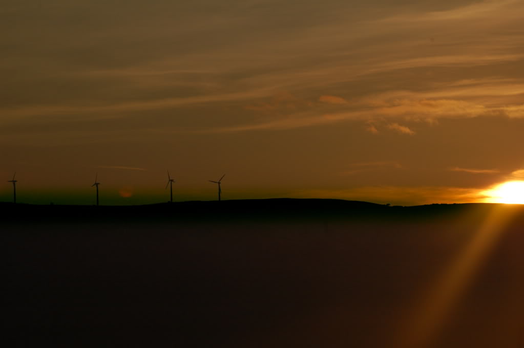 DSC_0137.jpg