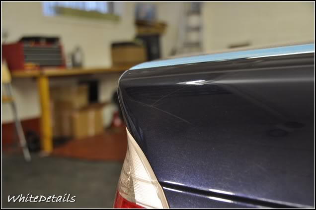 DSC_0137.jpg DSC_0137.jpg