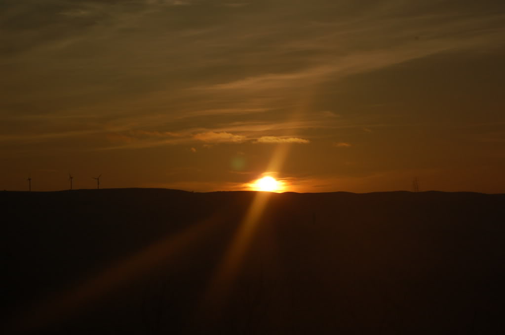 DSC_0140.jpg