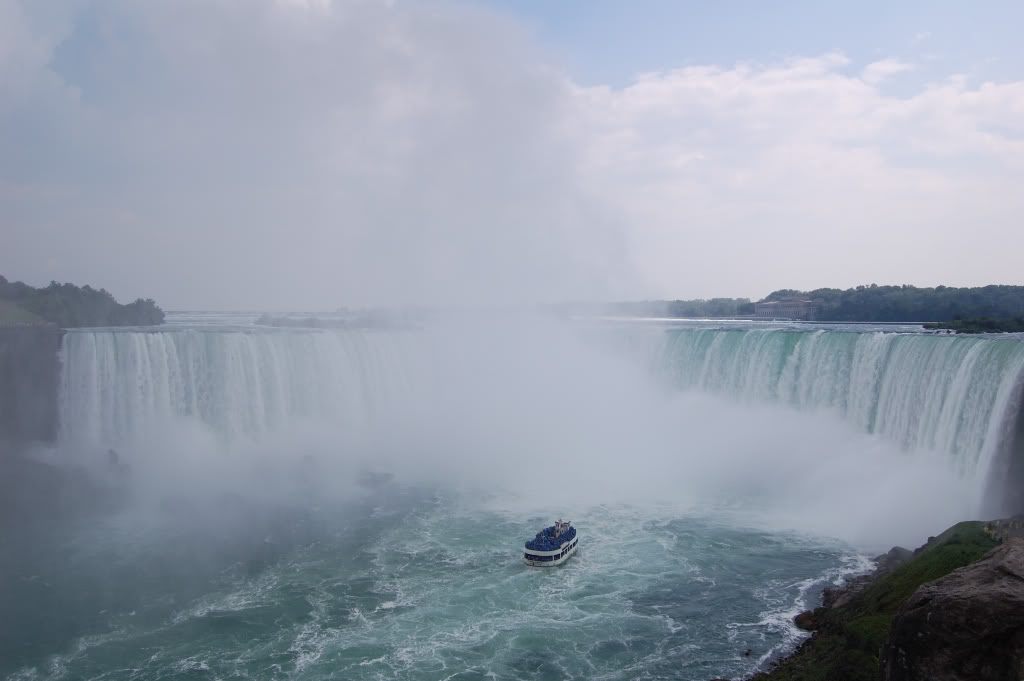 DSC_01400125.jpg DSC_01400125.jpg