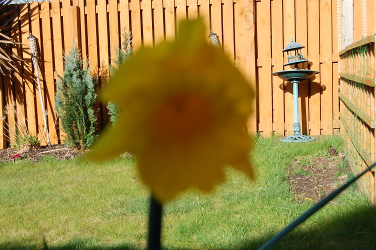 DSC_0141.jpg DSC_0141.jpg