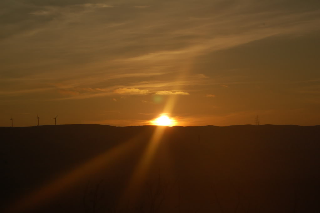 DSC_0141.jpg
