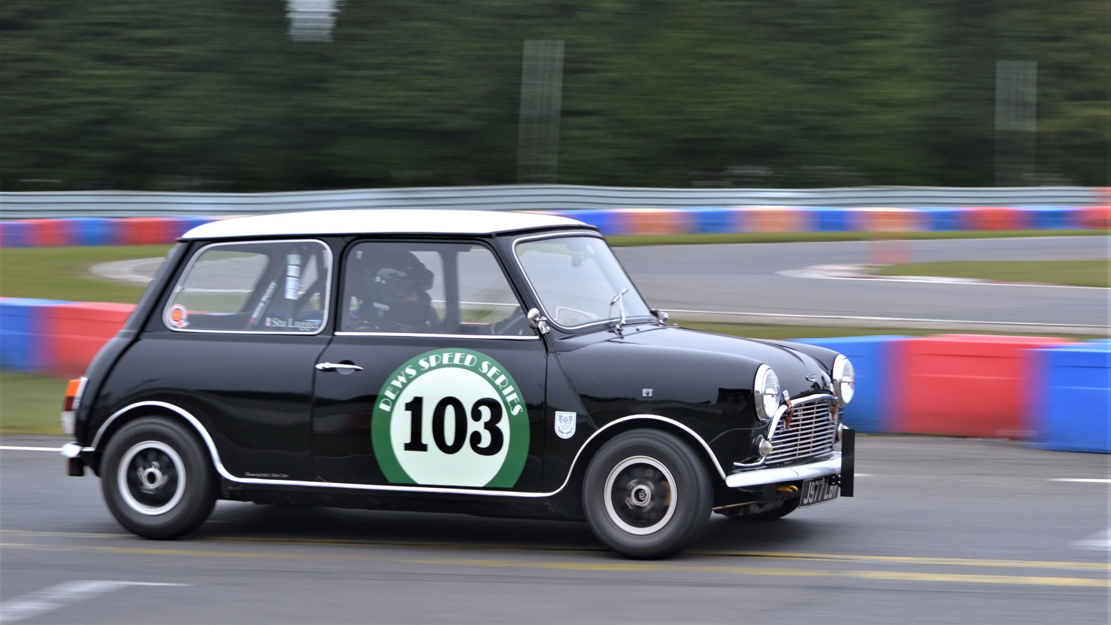 DSC_0142 (2).webp