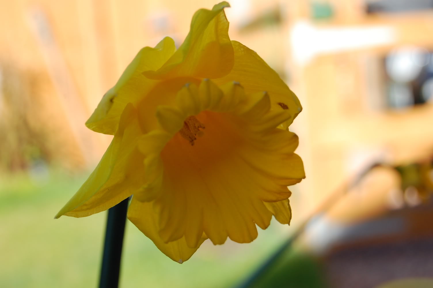 DSC_0143.jpg DSC_0143.jpg