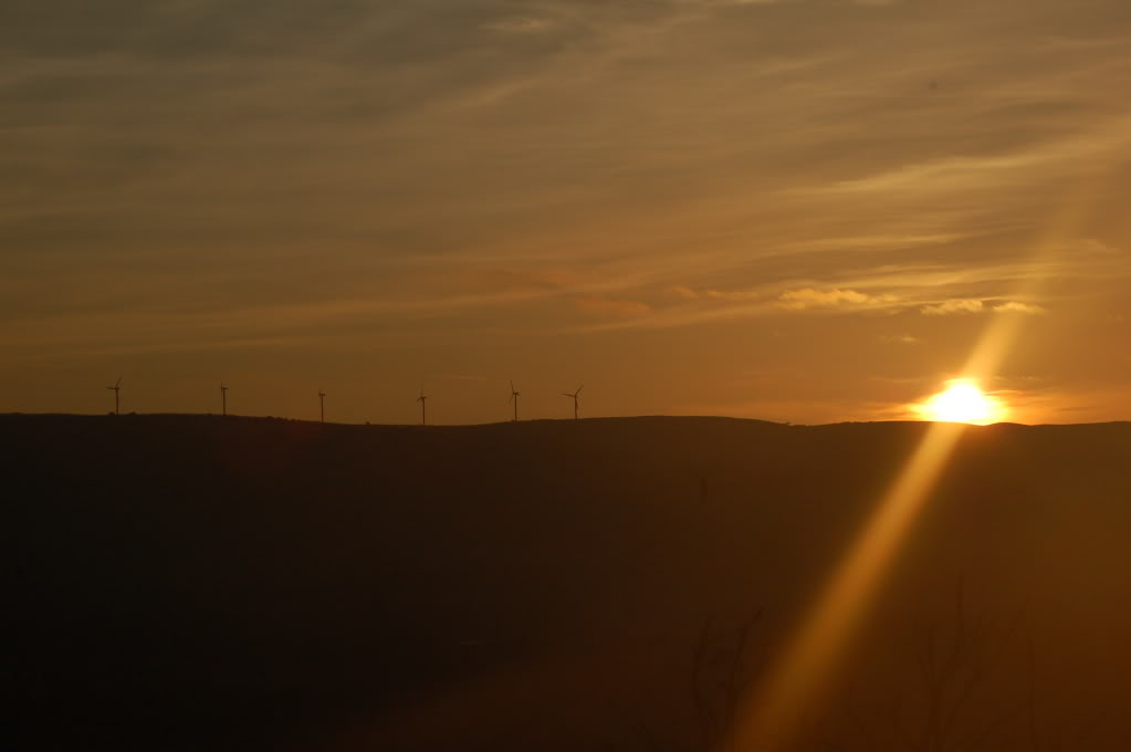 DSC_0143.jpg