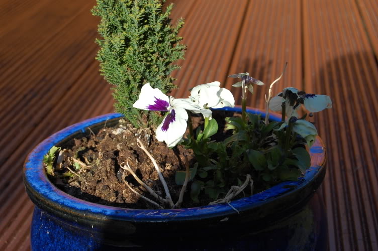 DSC_0144.jpg DSC_0144.jpg