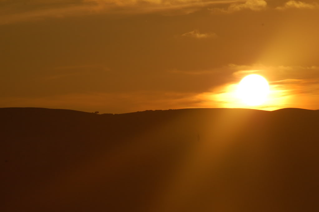 DSC_0144.jpg