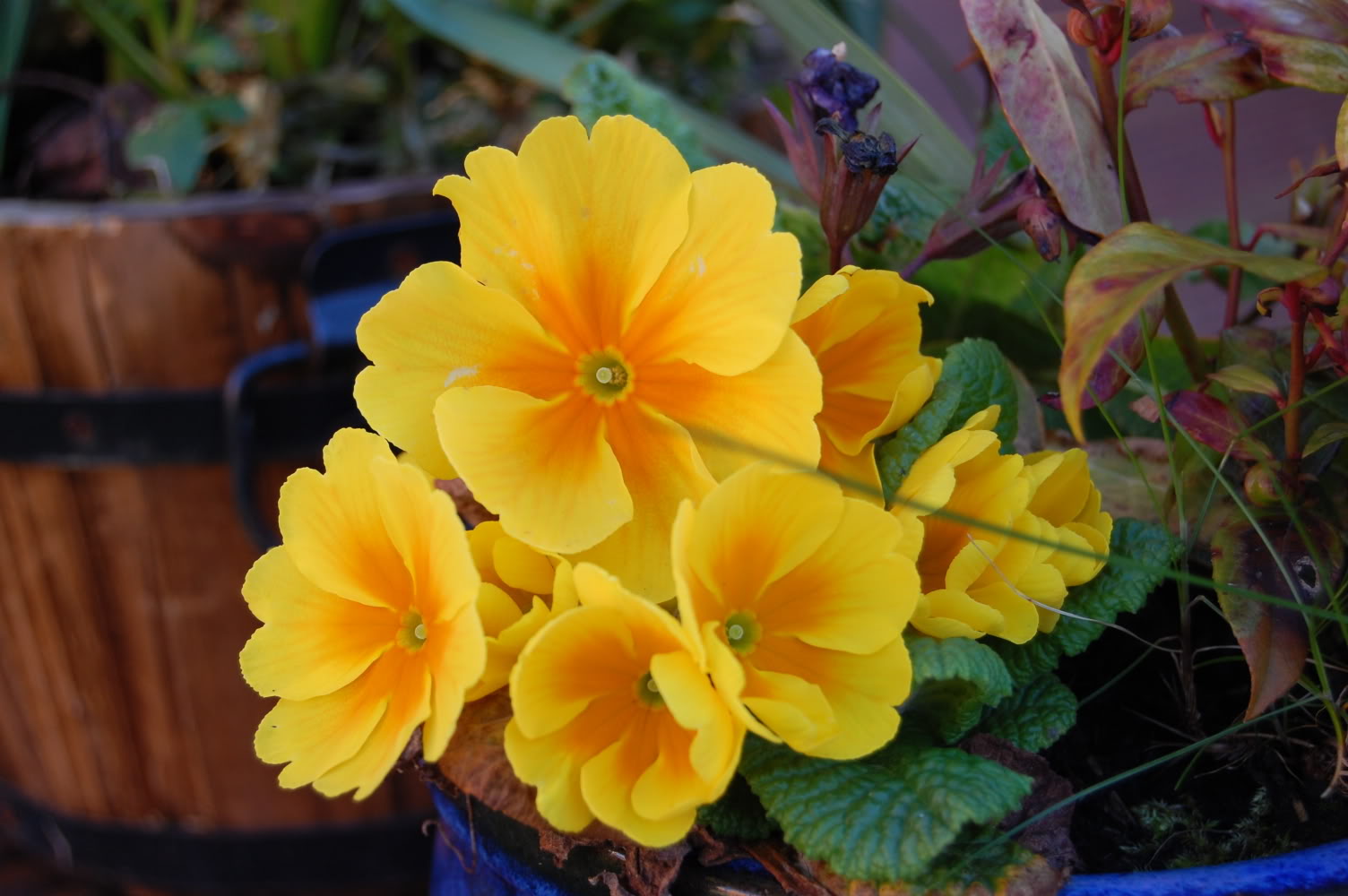 DSC_0146.jpg DSC_0146.jpg