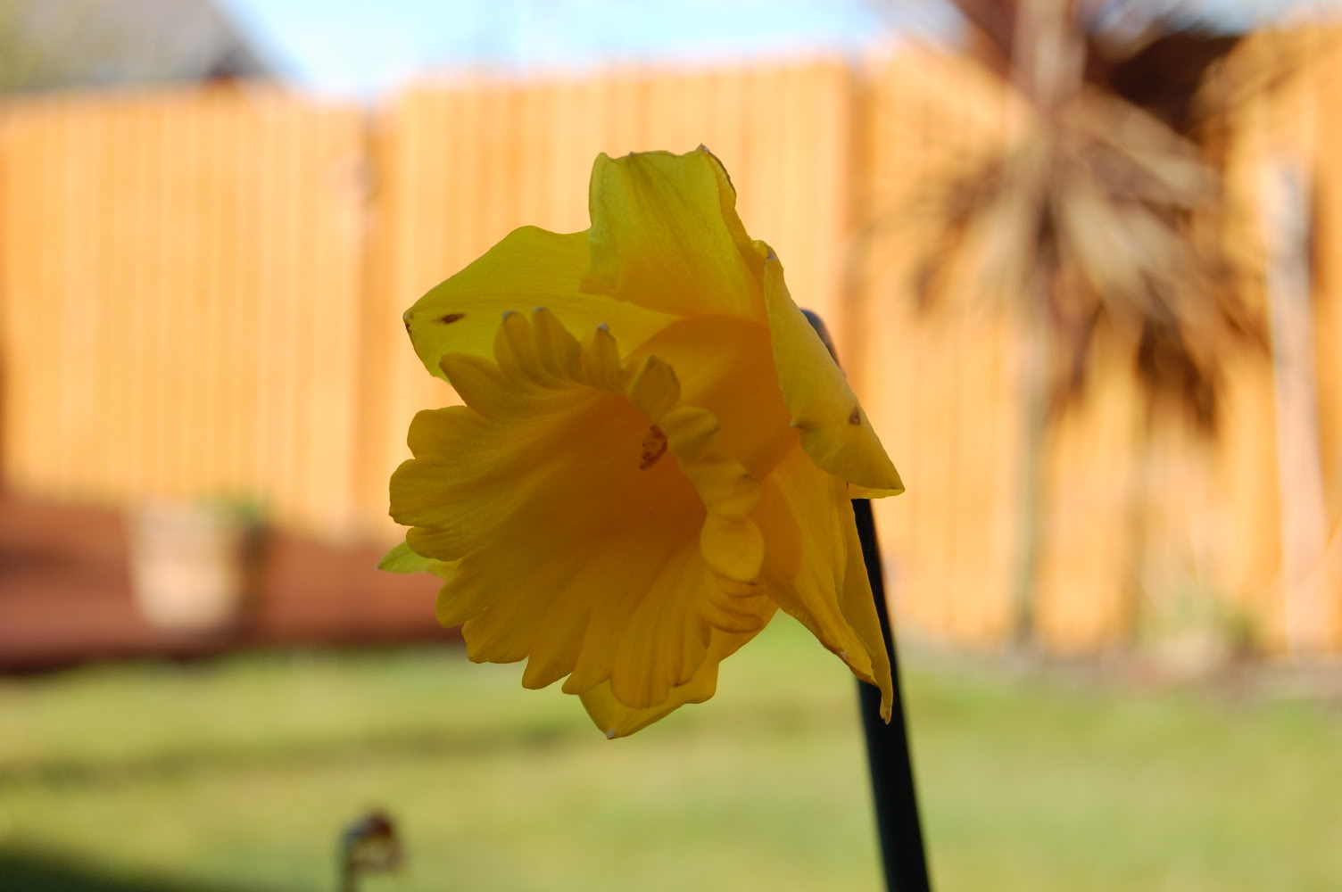 DSC_0147.jpg DSC_0147.jpg