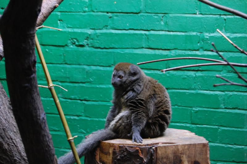 DSC_0148-Edit.jpg DSC_0148-Edit.jpg