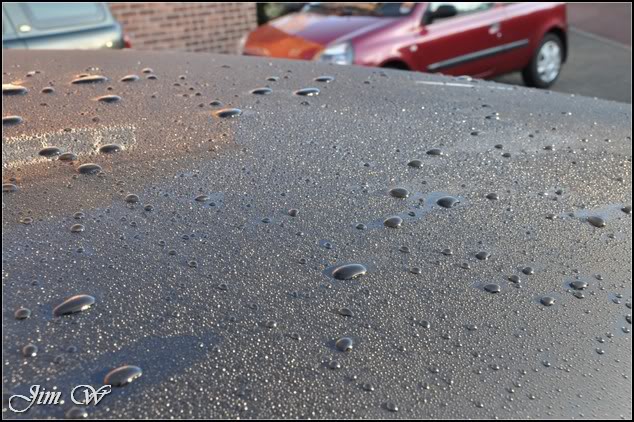 DSC_0149.jpg DSC_0149.jpg