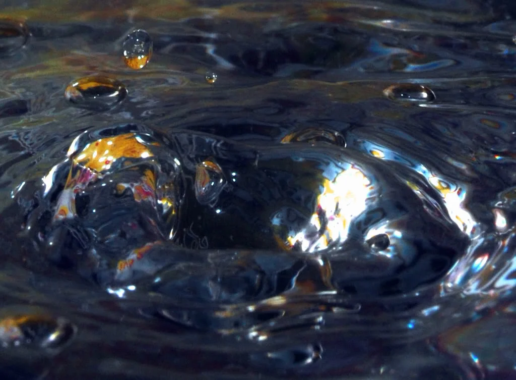 DSC_014h5.webp