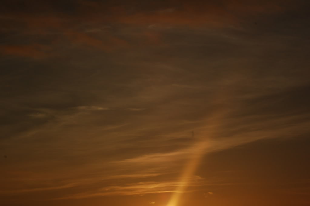 DSC_0151.jpg