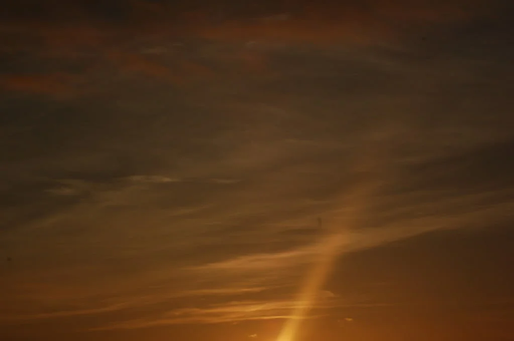 DSC_0151.webp
