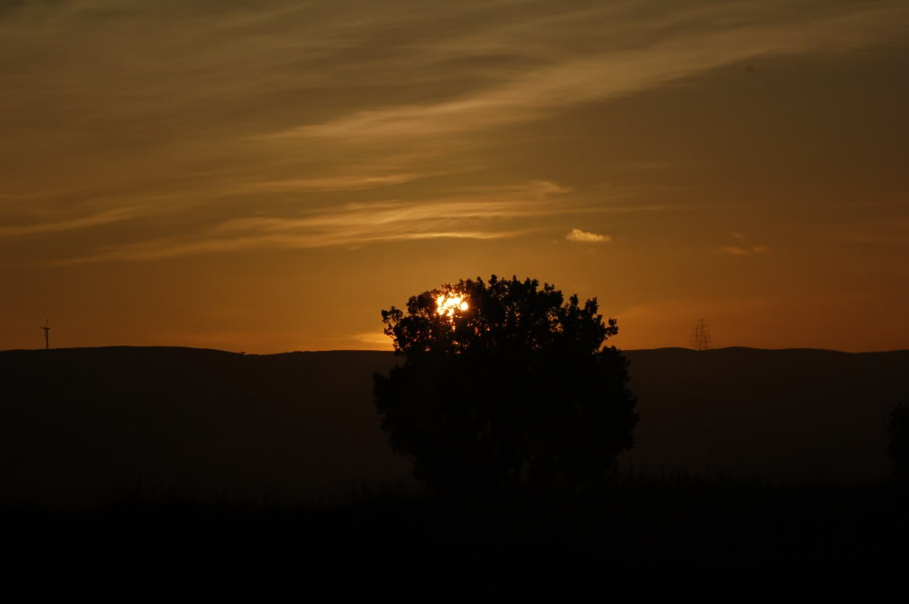DSC_0152.jpg