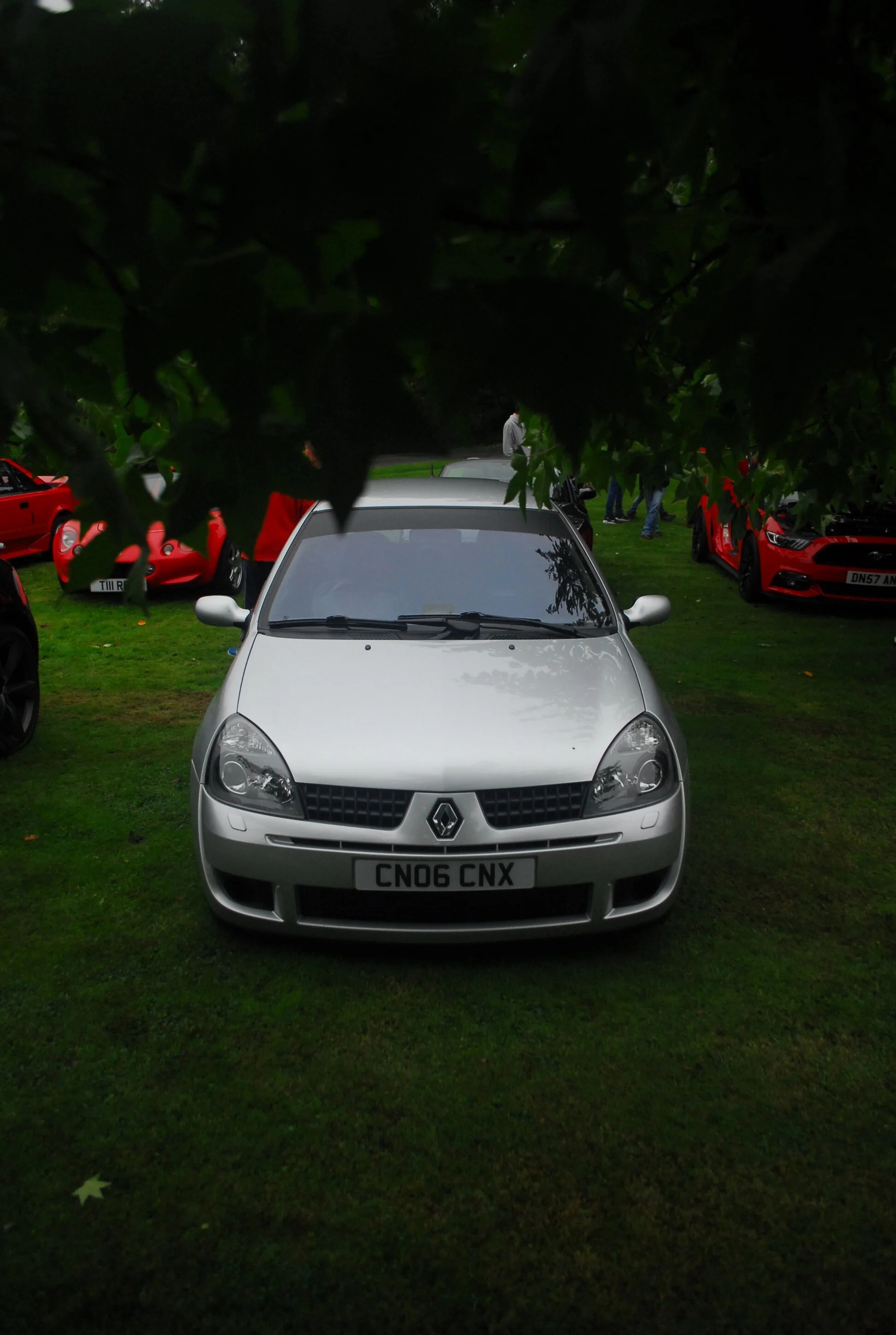 DSC_0153.webp