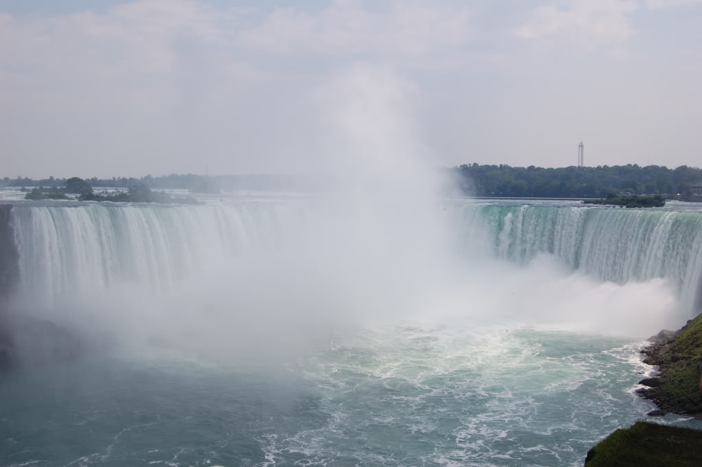 DSC_01530138.jpg DSC_01530138.jpg