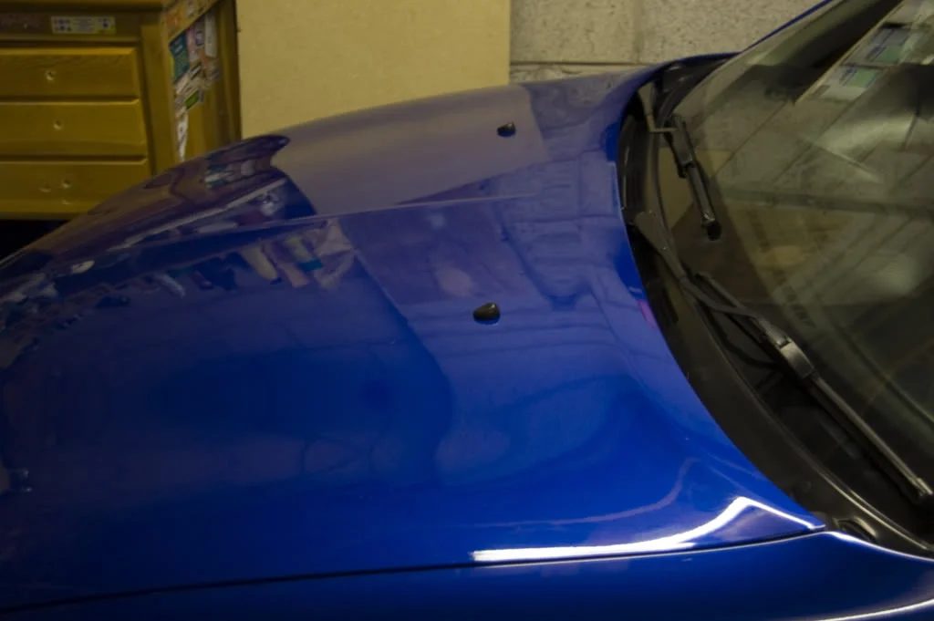 DSC_0157.webp