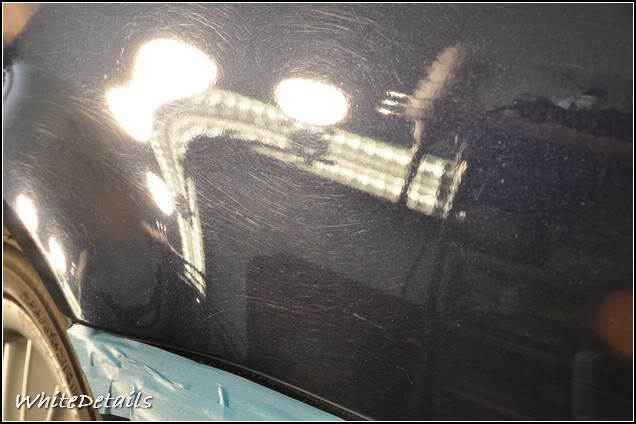 DSC_0158.jpg DSC_0158.jpg