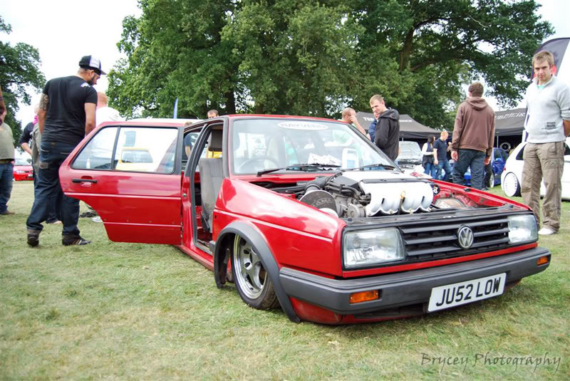 DSC_0159-Large.jpg
