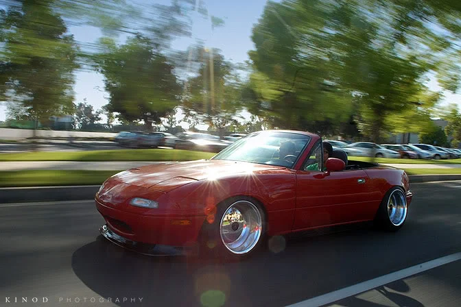 DSC_0161.webp