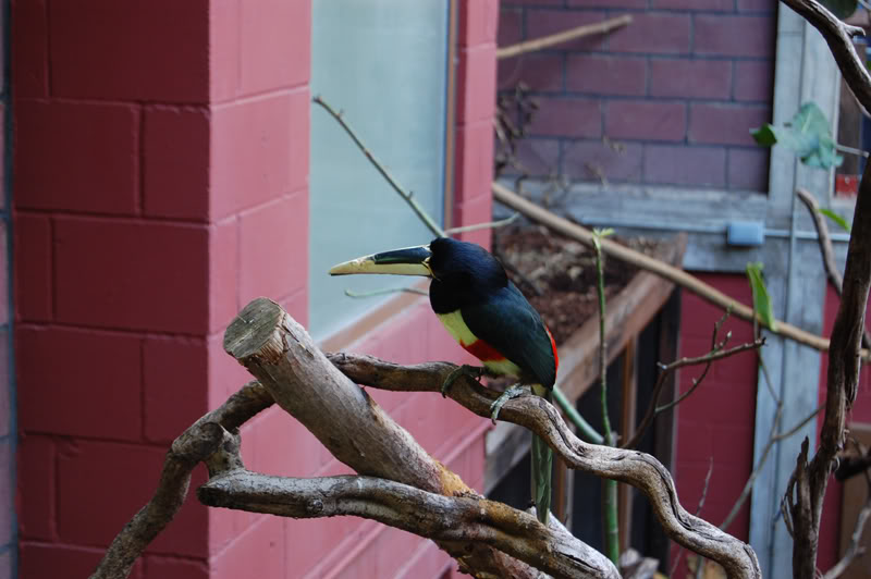 DSC_0163-Edit.jpg DSC_0163-Edit.jpg