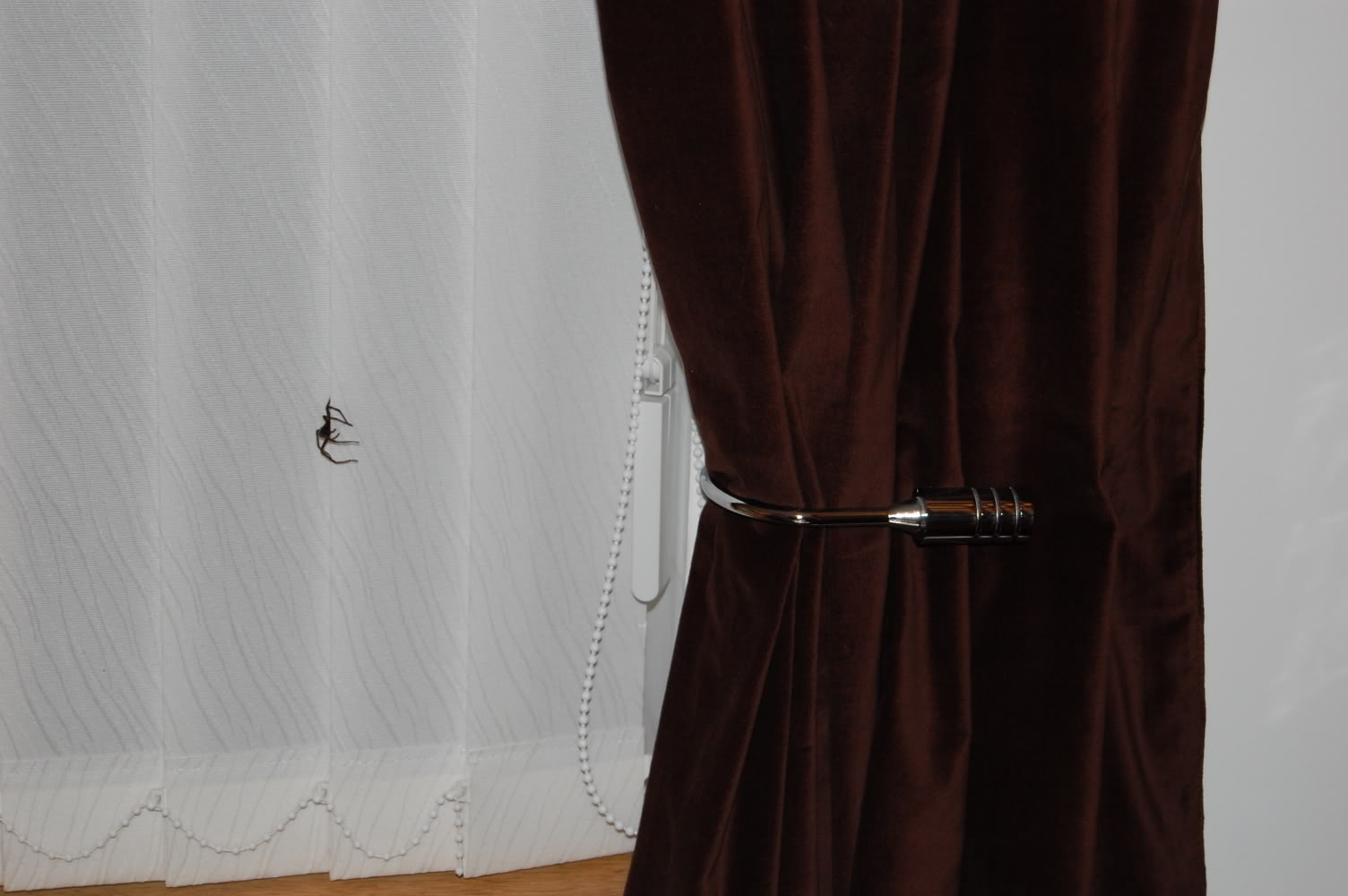 DSC_0167.jpg DSC_0167.jpg