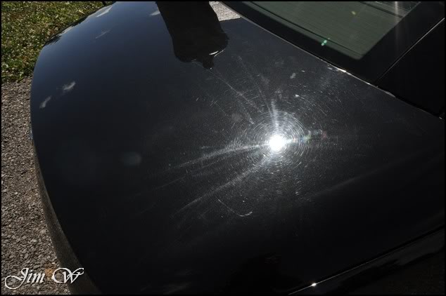 DSC_0168.jpg DSC_0168.jpg