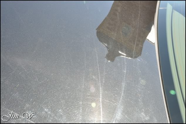 DSC_0169.jpg DSC_0169.jpg