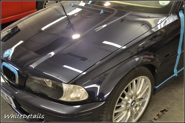 DSC_0169.jpg DSC_0169.jpg